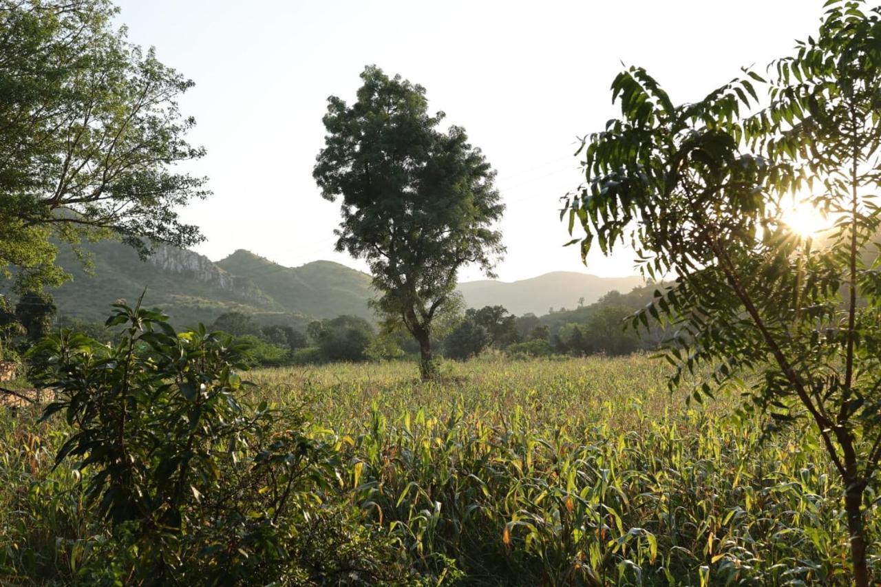 Vache Farm Stay Udaipur Exterior foto