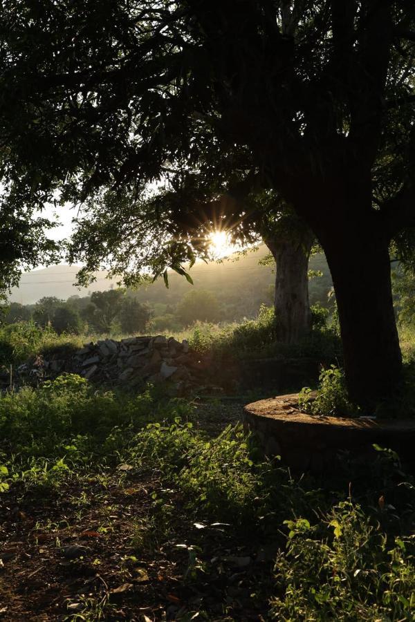Vache Farm Stay Udaipur Exterior foto